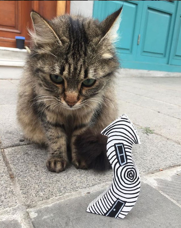 Street cat of Istanbul